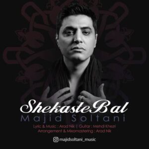 دانلود آهنگ مجید سلطانی شکسته بال