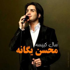 دانلود آهنگ محسن یگانه و حامد هاکان سرنوشت