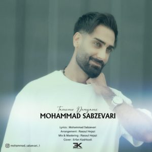دانلود آهنگ محمد سبزواری تموم دنیامی
