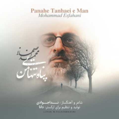 آهنگ محمد اصفهانی پناه تنهایی من