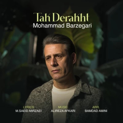 آهنگ محمد برزگری تک درخت