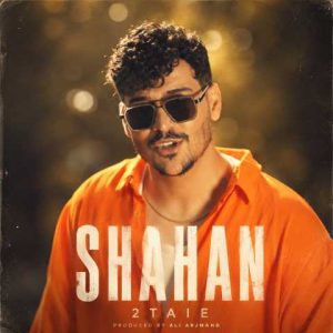 دانلود آهنگ شاهان دو تایی