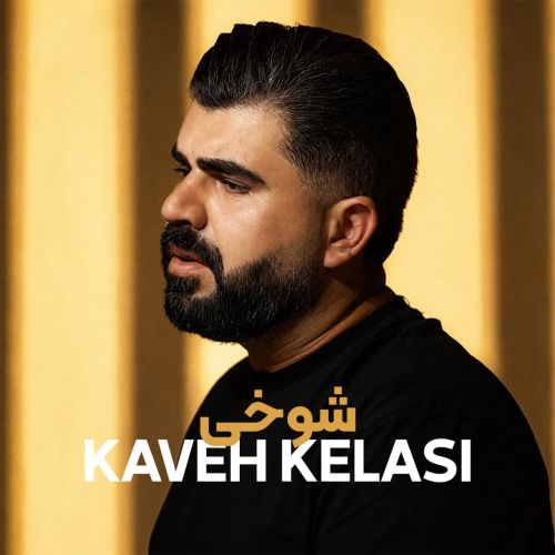 آهنگ کاوه کلاسی شوخی